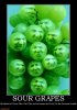 sour-grapes-sour-grapes-demotivational-poster-1291595006.jpg